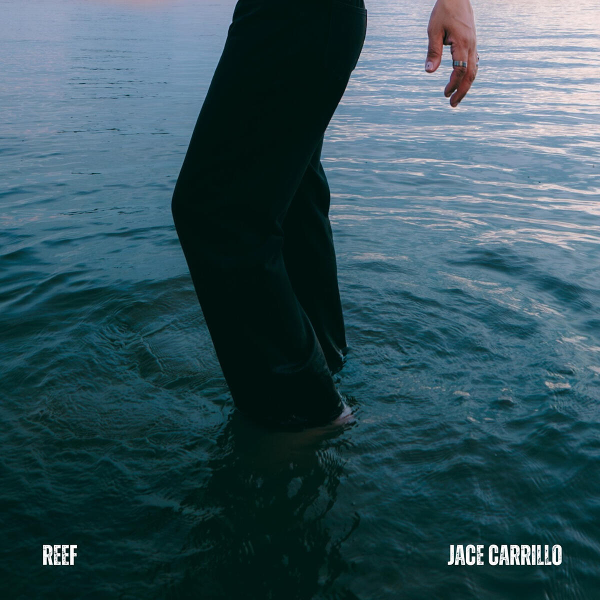 Reef Reef